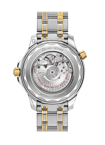 Blue Gold Steel - 904L Steel - Automatic - 42mm